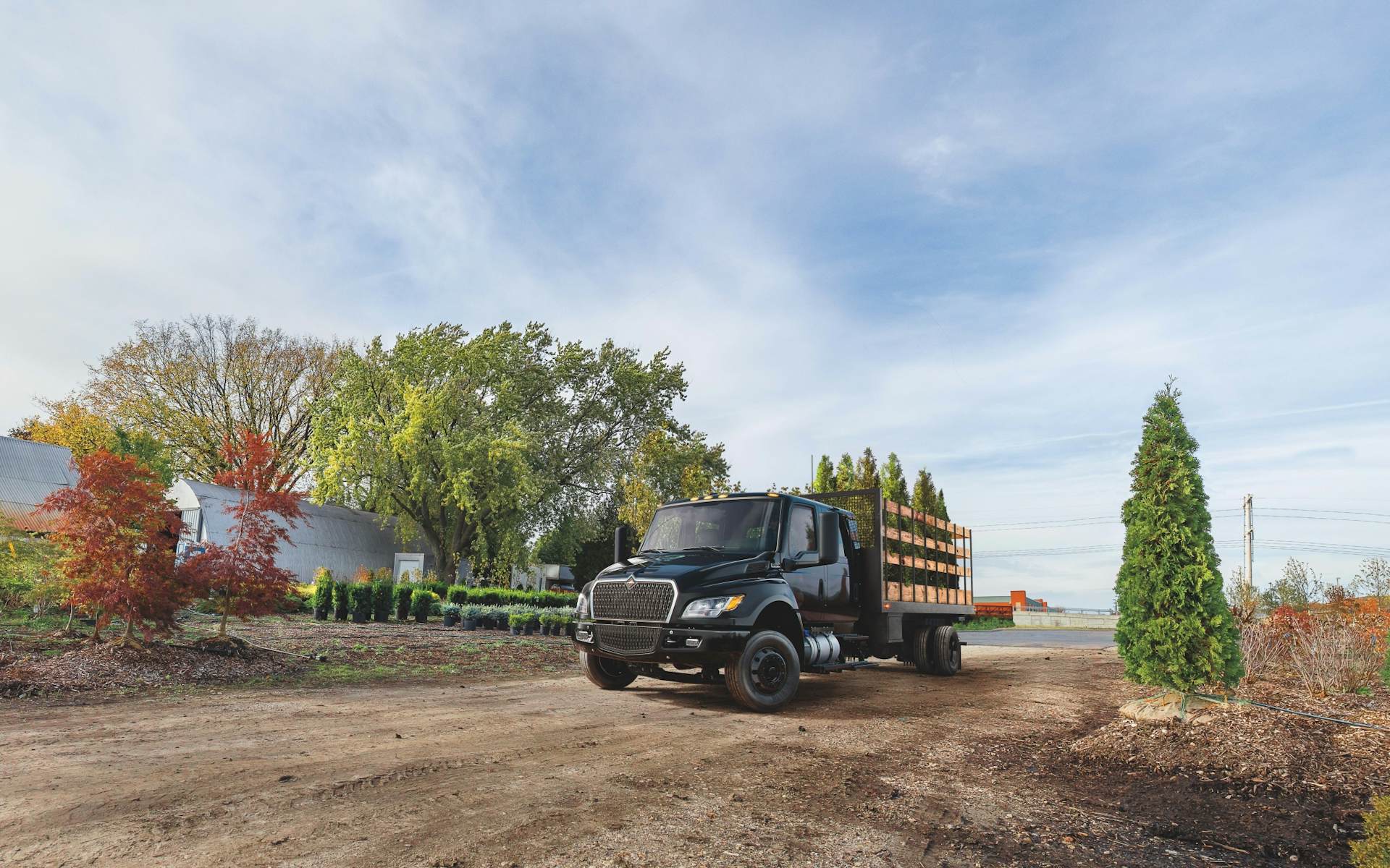 A truck on a dirt road